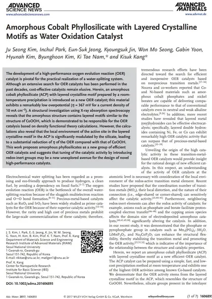 Amorphous cobalt phyllosilicate with layered crystalline motifs as water oxidation catalyst